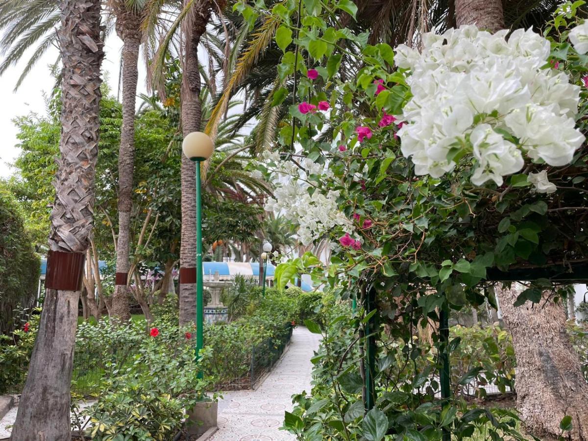 Surycan Tropical Garden Apartment Playa del Inglés Exteriér fotografie