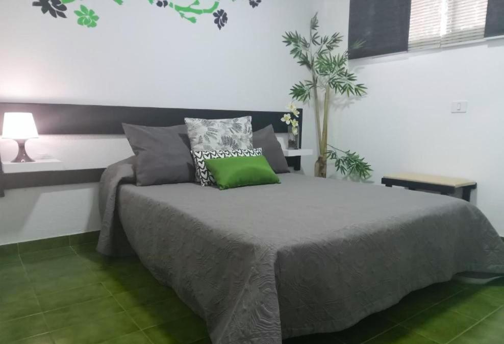 Surycan Tropical Garden Apartment Playa del Inglés Exteriér fotografie